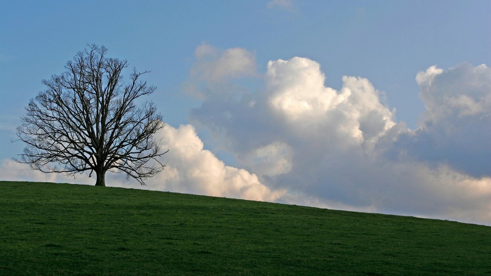 Ultra HD, 4K, Landscape, 92429623